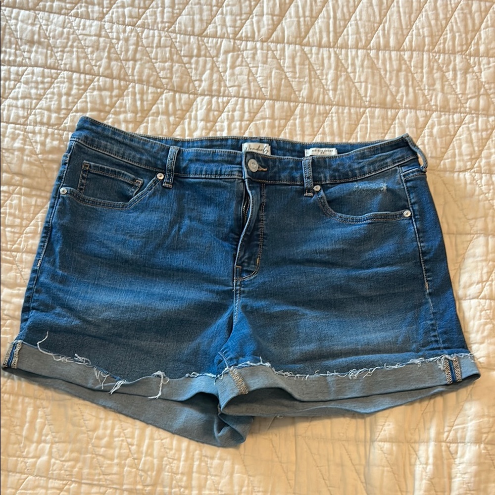 Wonderly Blue Jean Shorts with Frayed Hem